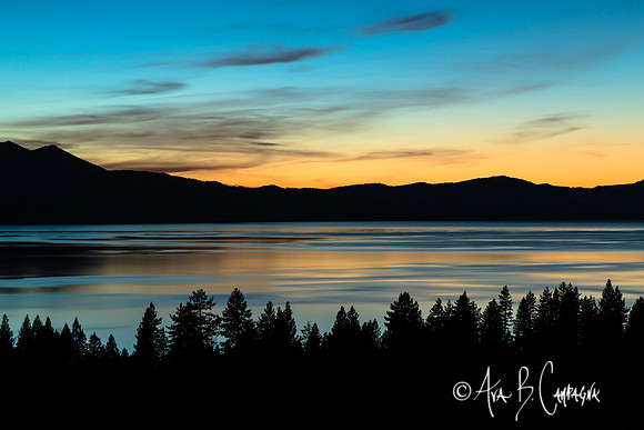 Before Dark