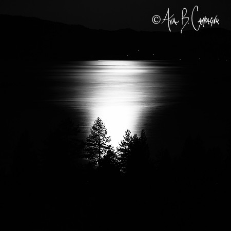 Trail of Light