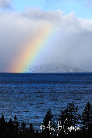 Across the Rainbow