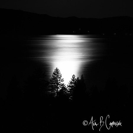 Trail of Light