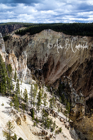 Grand Canyon of Yellowstone