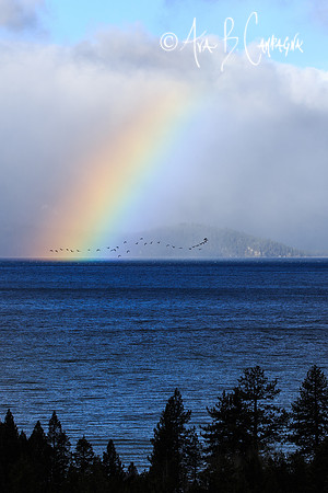 Across the Rainbow