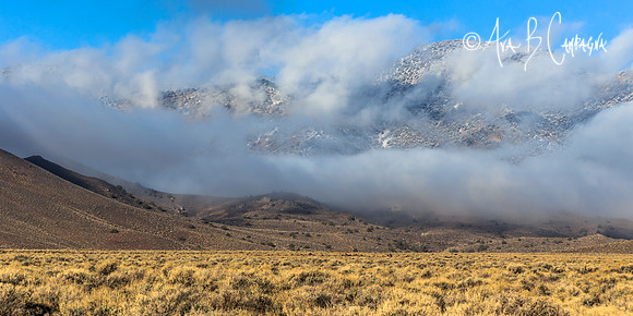 Within the Clouds