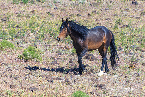 _E0T6293