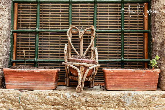 The Seat of Love