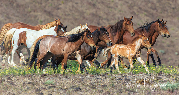 On the Move