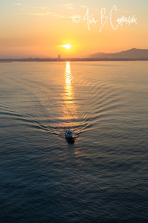 Leading the Light