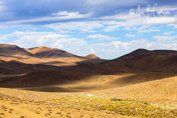 Shadowed High Desert