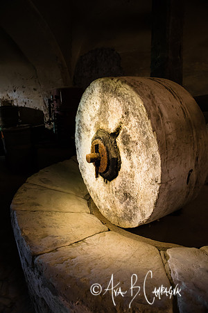 Remnant of Frantoio Oglio di Olive-1-1756