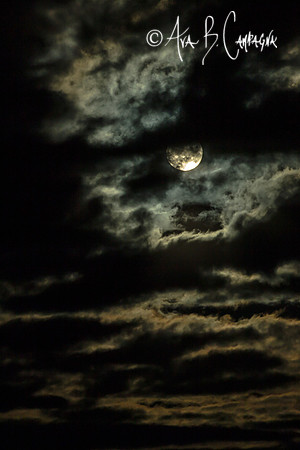 Night Clouds