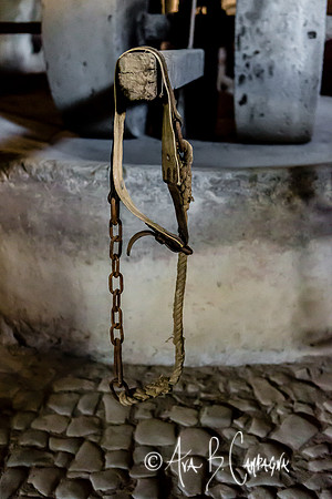 Ancient Frantoio di Oglio di Olive