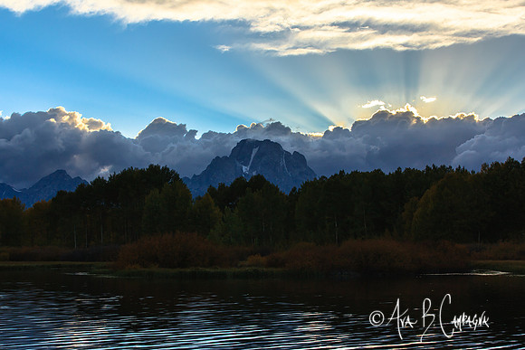 Rays Above
