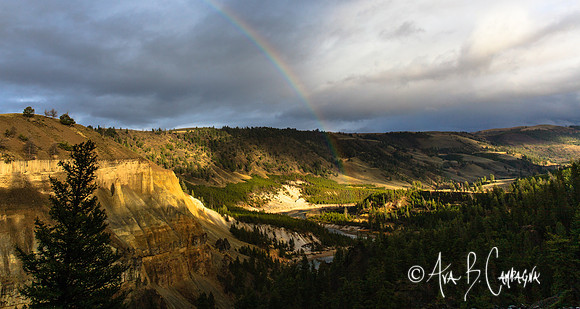 Chasing the Rainbow