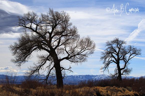 Reaching....