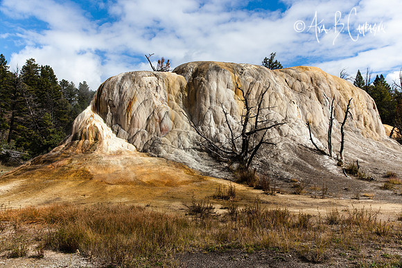 Orange Mound ~ Fall