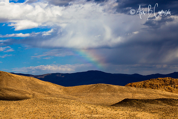 High Desert Rainbow