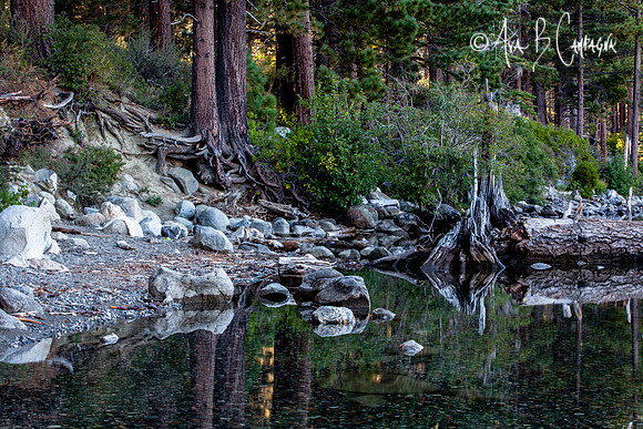 Stillness
