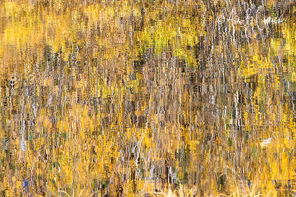 Rippled Reflections...