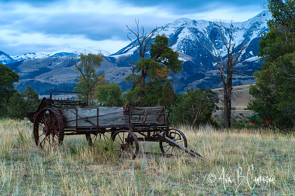 Wagon Ho