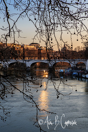Shimmer on the Tiber