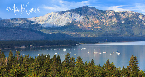 So Summer Tahoe