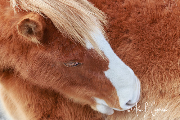 Softness...