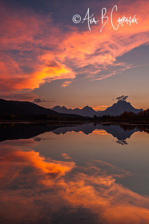 Sunset Symmetry
