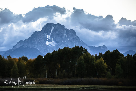 Without Sun