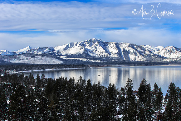 Winter Paradise