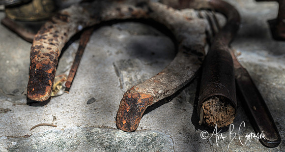 Left Behind...