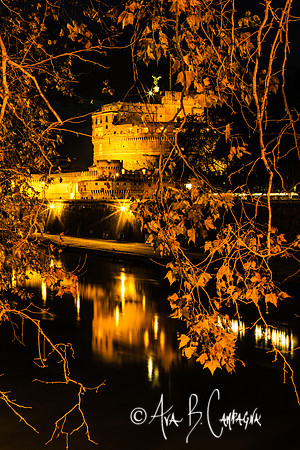 Golden Castle