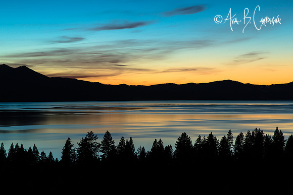 Before Dark