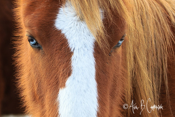 Mesmerized....