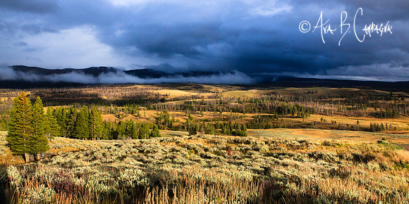 Approaching Storm ~ Yellowstone