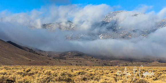 Within the Clouds