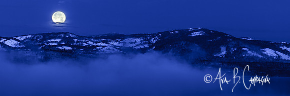Surround Me by Blue
