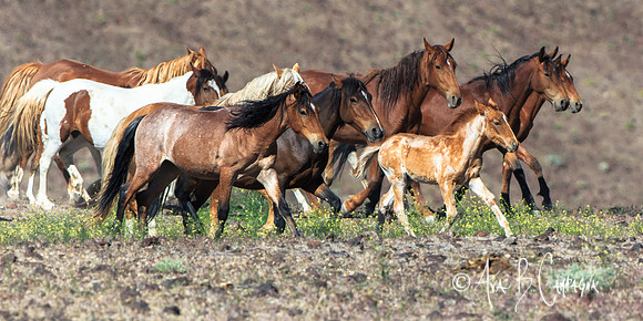 On the Move