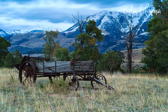 Wagon Ho