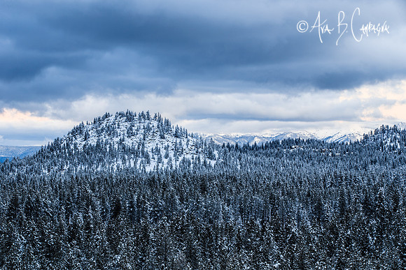 Frosted Mound